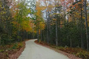 Balsam Cove Campground – photo 3