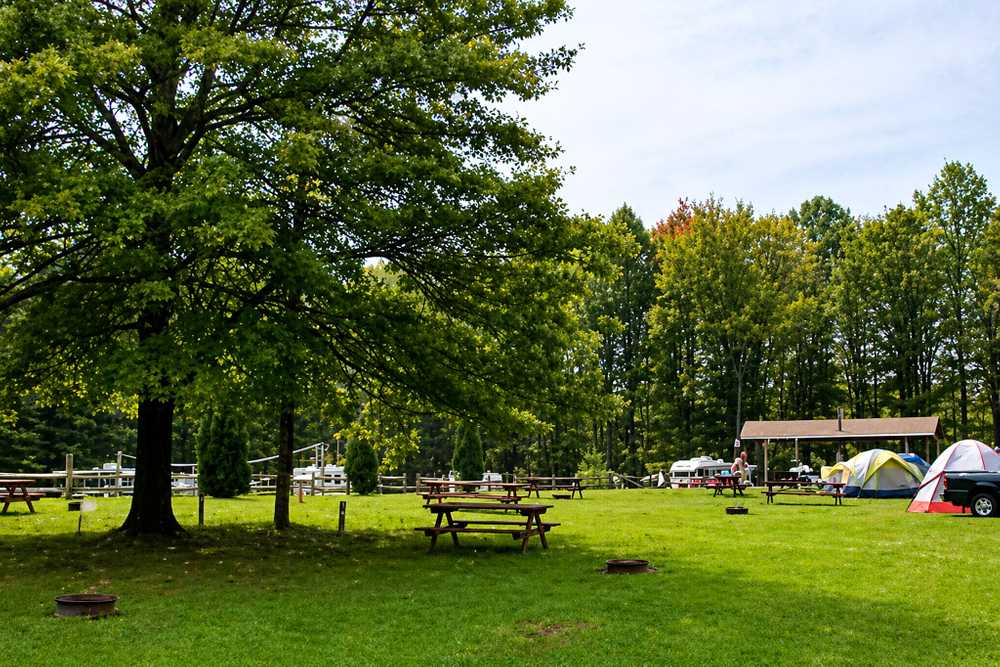 Park Image 12