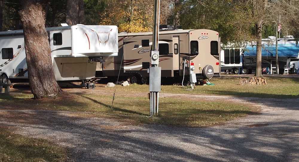 Big Tree RV Park - Photo 3