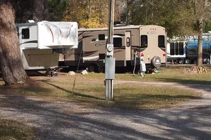 Big Tree RV Park – photo 3