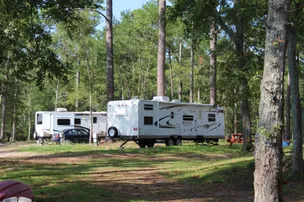Dixon Landing RV Resort – photo 4