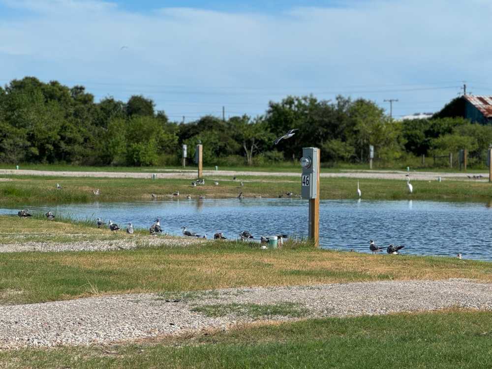 End of the Road RV Park, Port O'Connor, Texas - Photo 4
