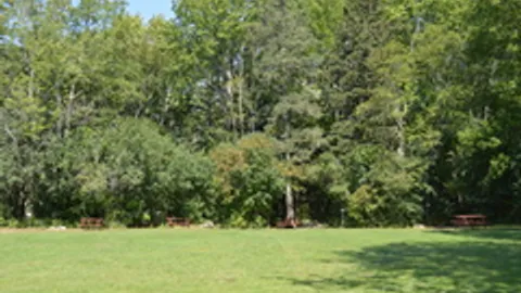Field Tent Site — image 1 of 5