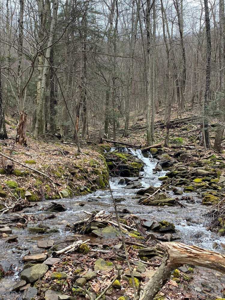 West Creek Campground, Benton, Pennsylvania - Photo 5