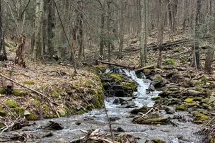 West Creek Campground – photo 5