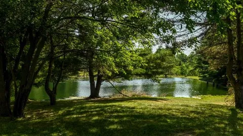 Rustic Tent Site — image 1 of 3