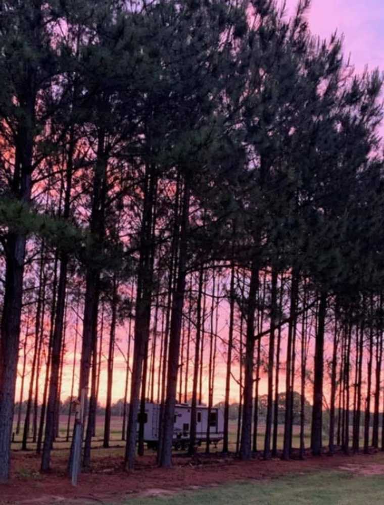 American Robin RV Park & Bird Sanctuary - Photo 4
