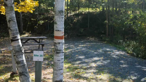 15A W/E — image 5 of 5