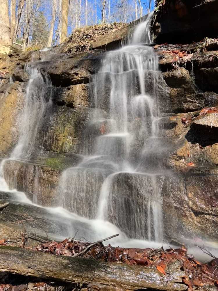 Park Image 11