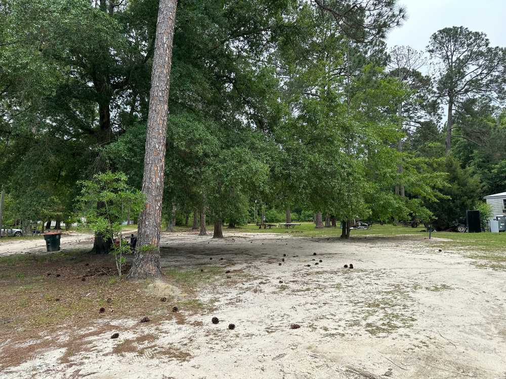 Pine Grove RV Park - Photo 3