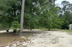 Pine Grove RV Park – photo 3