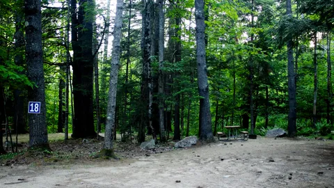 Standard Back-In RV Site — image 4 of 4