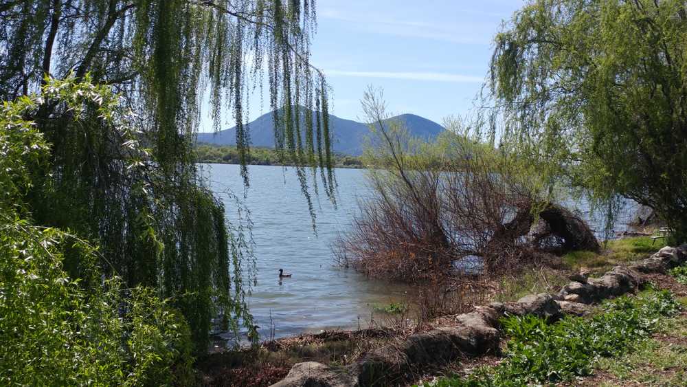 Park Image 7