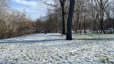 Waterfront Tent Sites — image 1 of 7