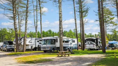 Premium Back-In RV/Tent Site — image 5 of 5