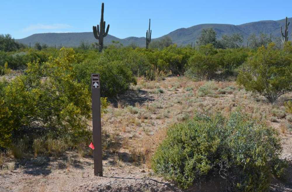 West Pinal Park - Photo 3