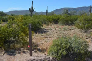 West Pinal Park – photo 3