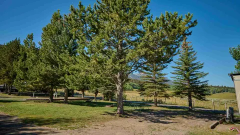 50 Amp Back-In RV Site — image 1 of 1