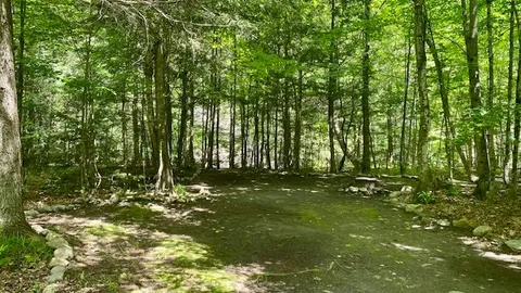 Tent Site on the River - Large — image 2 of 10