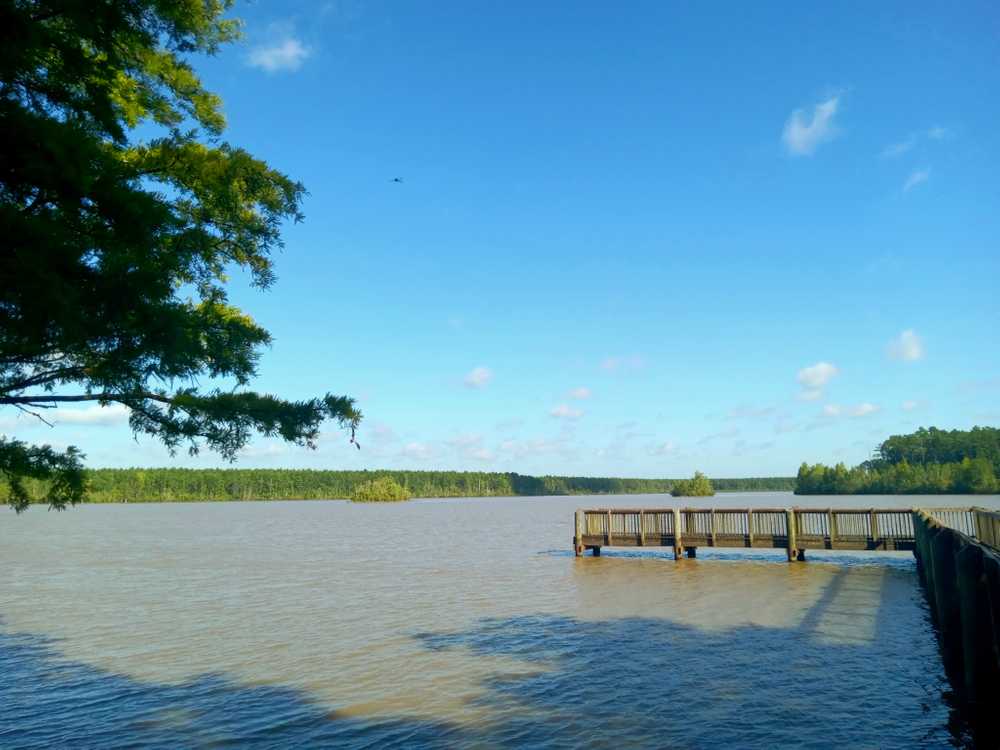 Crooked Creek Recreation Park - Photo 2