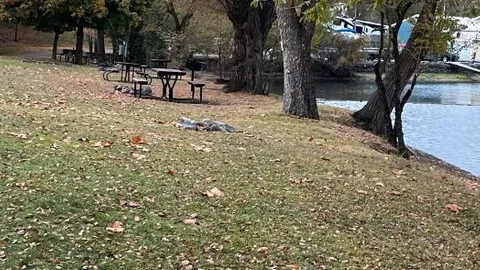 Lakeside Tent Site — image 2 of 4