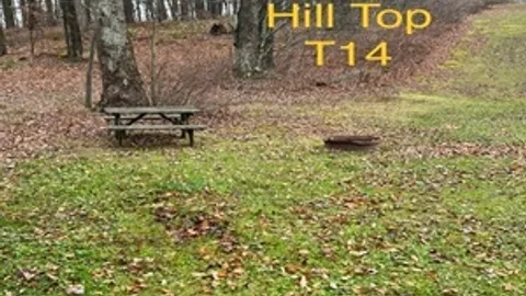 Hill Top Tent Site — image 2 of 6