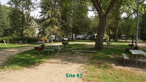 Standard RV Site — image 2 of 18
