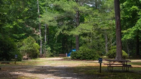 Standard Tent - Lower — image 4 of 4