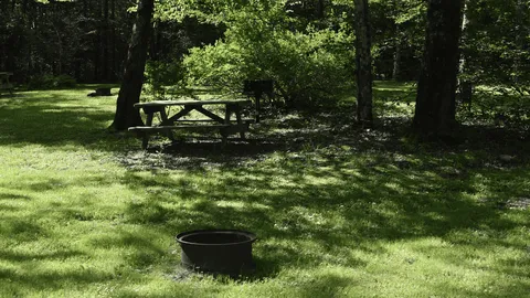 PRIMITIVE TENT SITE — image 2 of 3