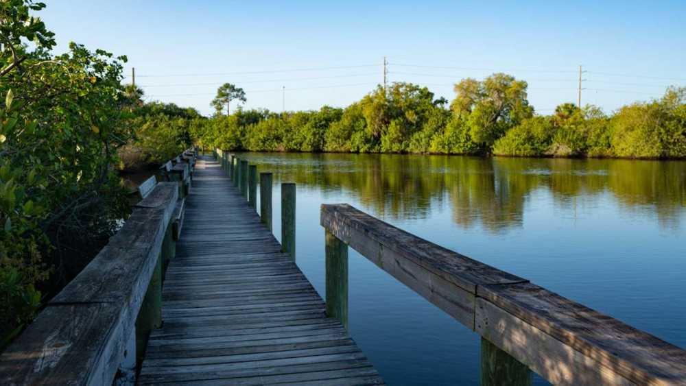 Horseshoe Cove RV Resort (Age Restricted 55+) - Photo 3