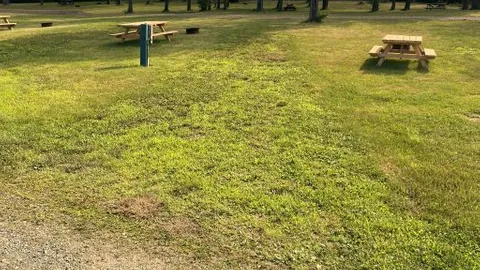 Primitive Tent Site — image 2 of 2