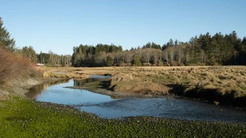 Wood Land Sites (94-98) — image 2 of 8