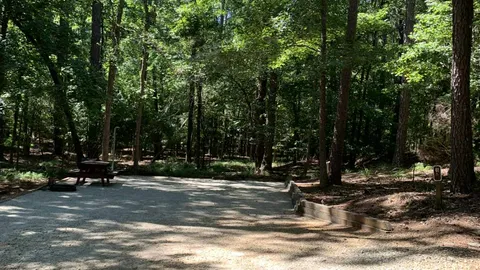 50 AMP Savannah River Interior Campsite — image 16 of 16