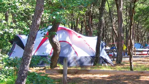 Premium W/E Tent Rental - Hortons — image 1 of 1