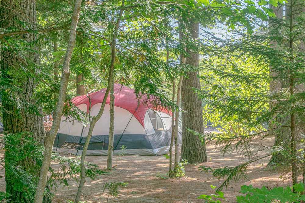 Wilderness Tent Site