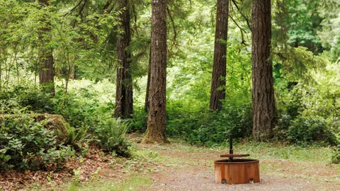 Fern Lane Primitive Tent Site — image 1 of 11