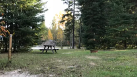 Primitive Tent Site — image 2 of 9
