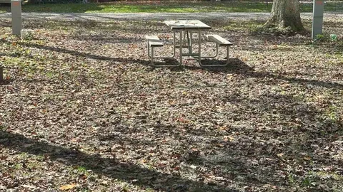 Pull-Through 50 Amp RV Sites — image 1 of 6