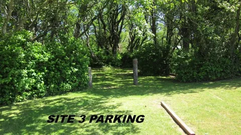 Primitive Tent Site (6  People maximum) — image 5 of 5