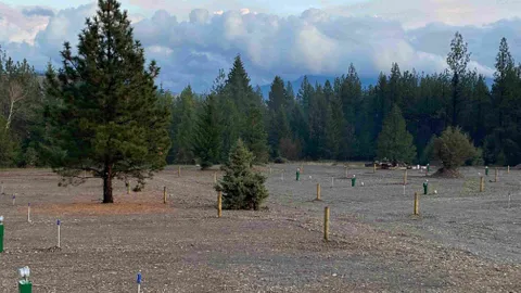 Back-In Boarder Crown Land — image 1 of 3