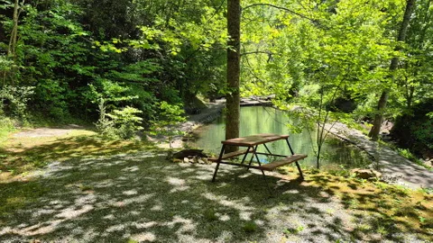Premium Creekside Tent Site W/E — image 2 of 4