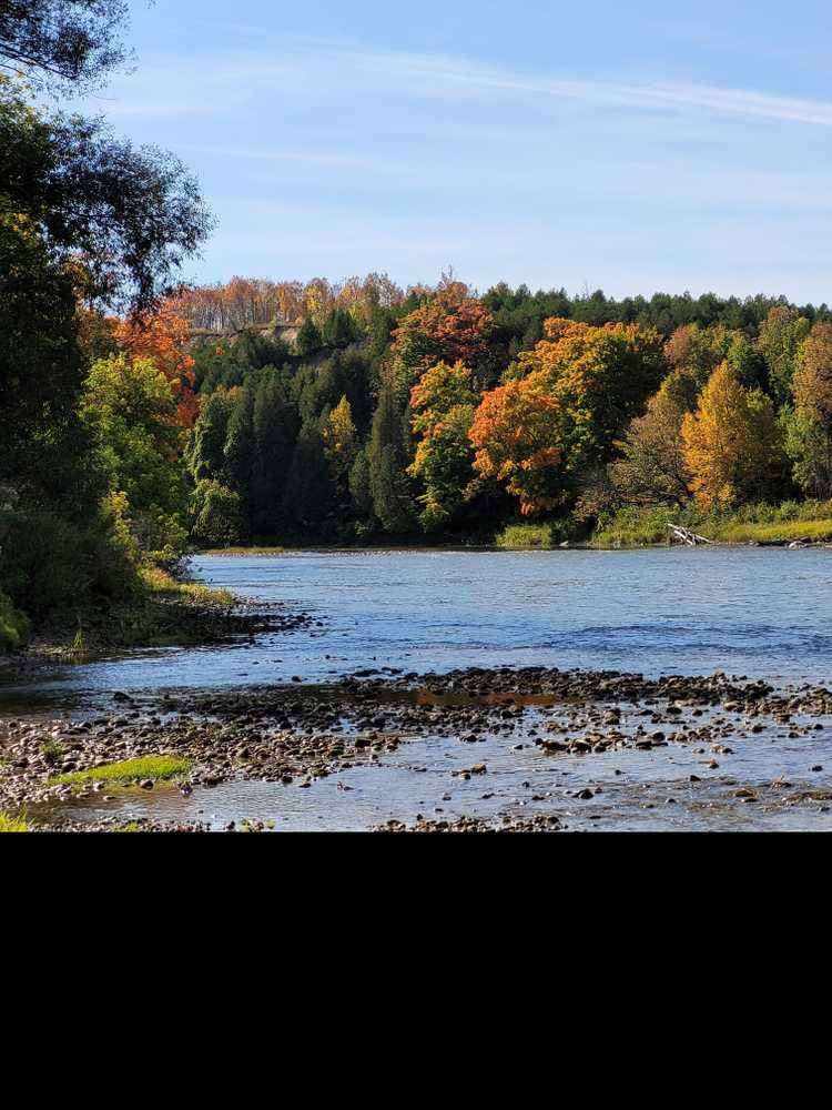 Park Image 7