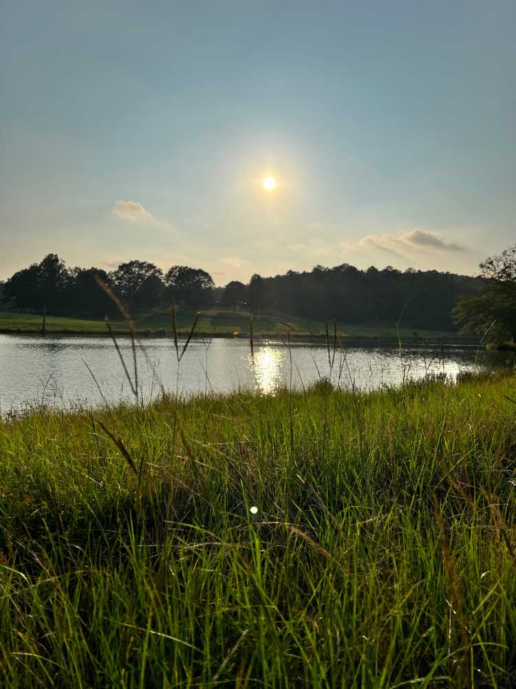 Park Image 8