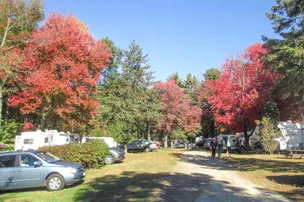 Sunsetview Farm Camping Area – photo 5
