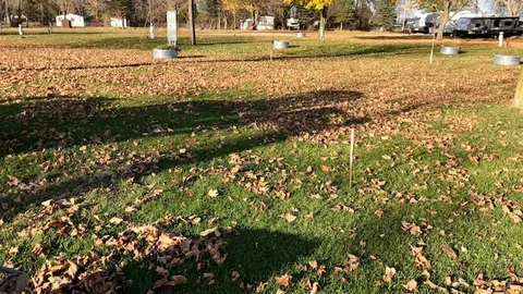 Standard Site — image 2 of 2