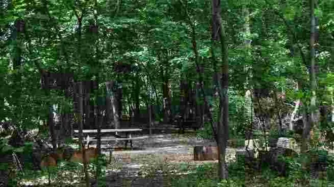 Primitive-Bike Trail — image 1 of 1