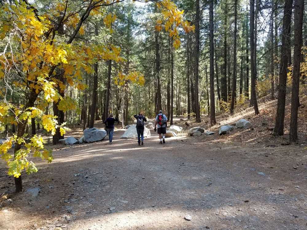 Pioneer RV Park - Photo 5