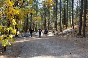 Pioneer RV Park – photo 5