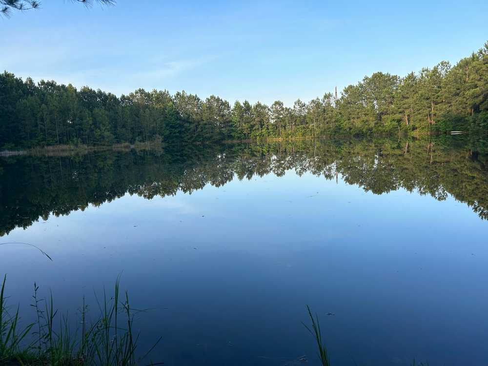 Park Image 10