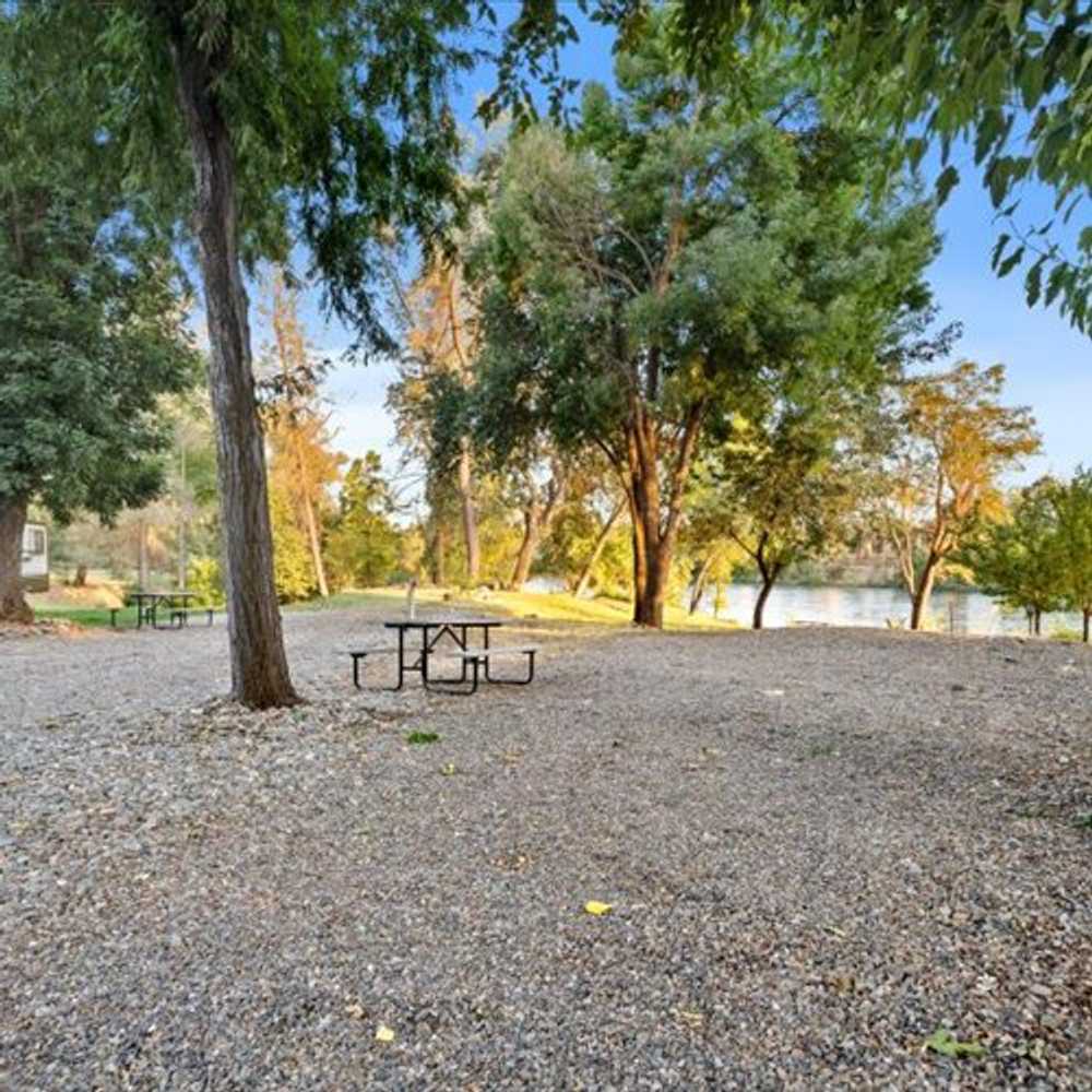 Sacramento River RV Park, Redding, California - Photo 2